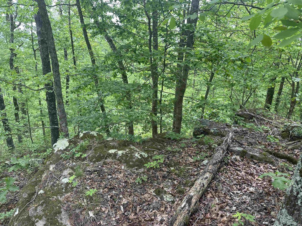 Picture 13