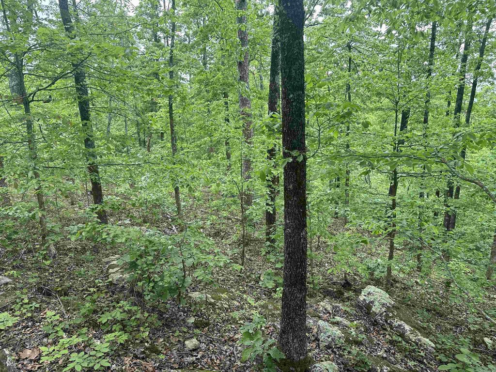 Picture 15