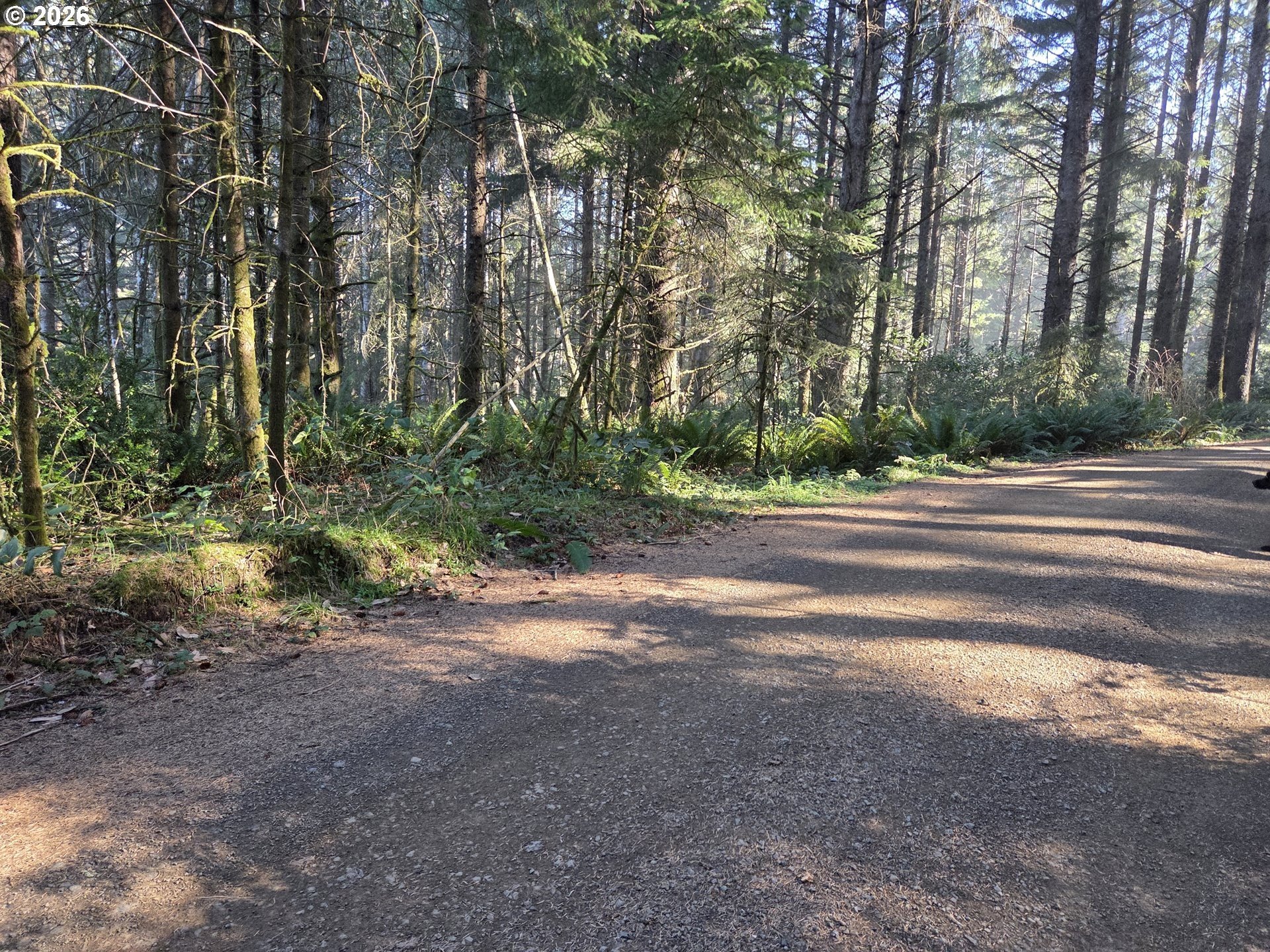 Oregon Land with Development Potential