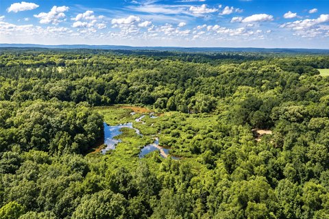 Waterfront Land with Creek System