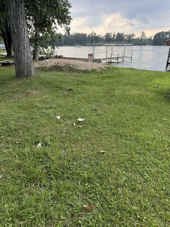 Picture 6