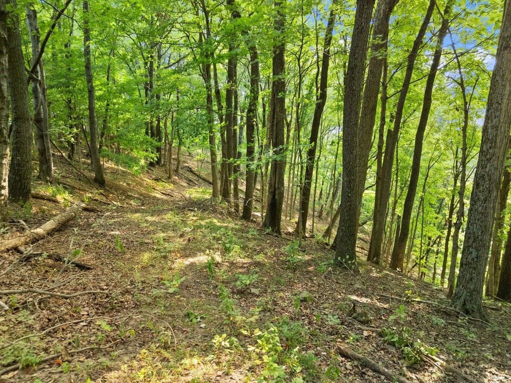 Picture 19