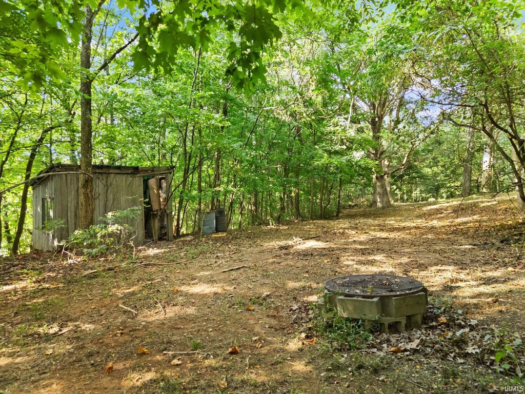 Picture 15