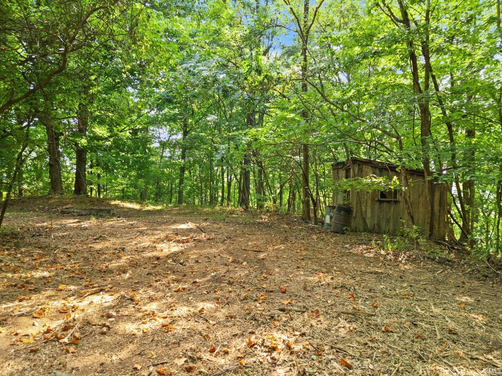 Picture 13