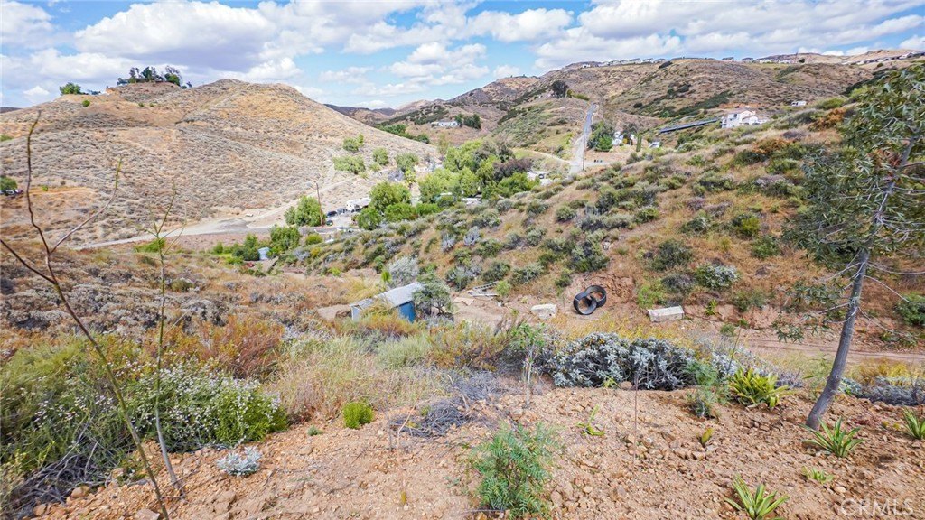 Picture 33