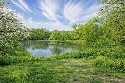 Heavily Treed Land with Pond