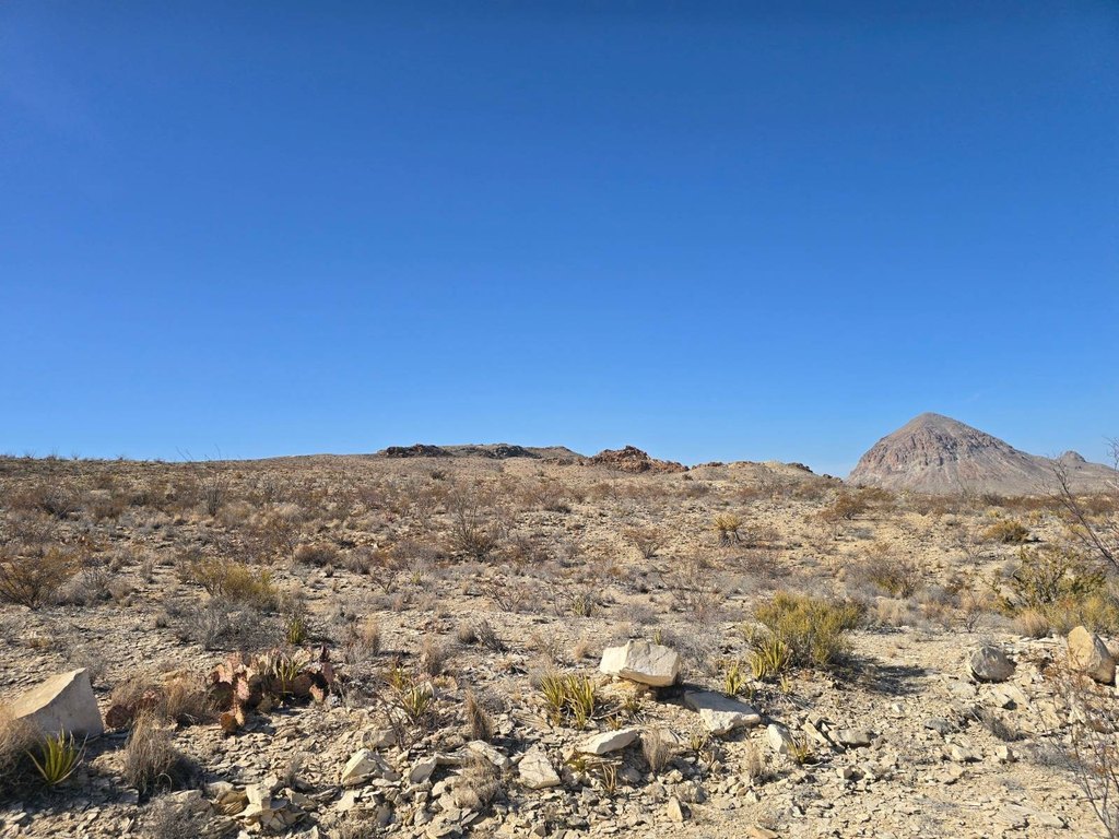 Picture 2