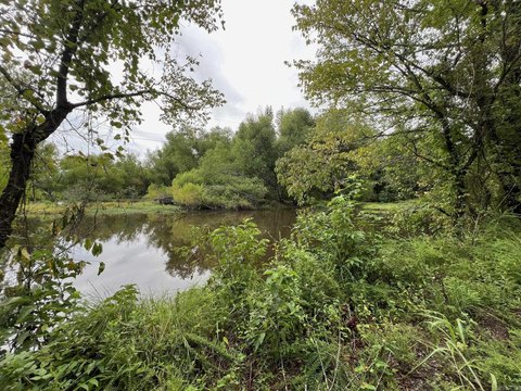 36 Acres Hunting Land, Waldron