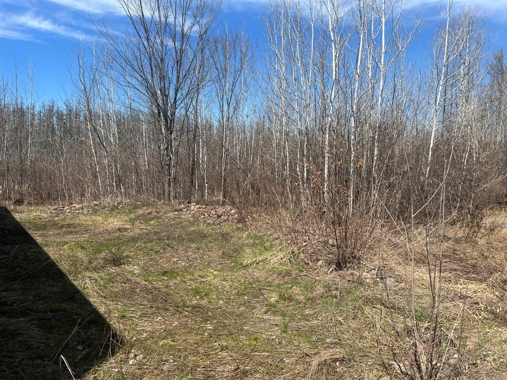 Picture 5