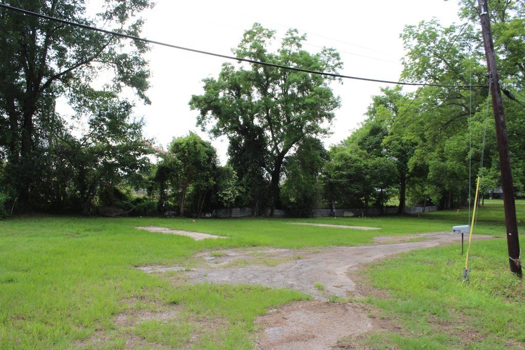 Picture 6
