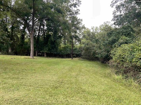 LOTS AND ACREAGE, Newberry, SC