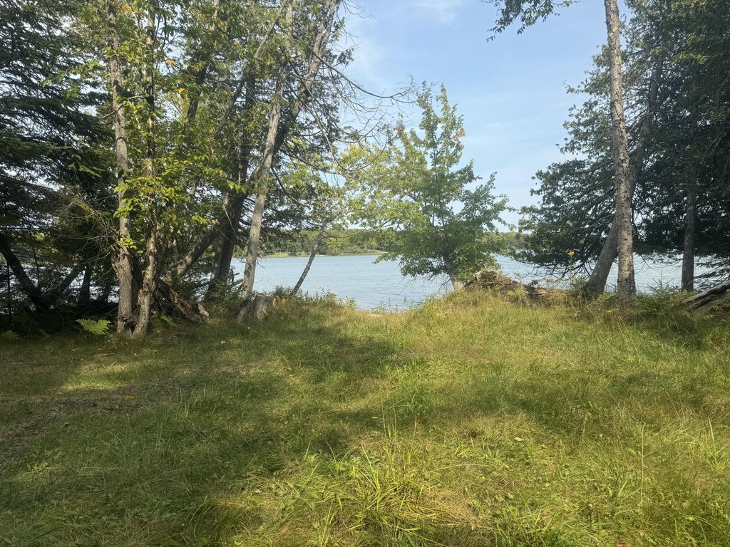 Picture 18