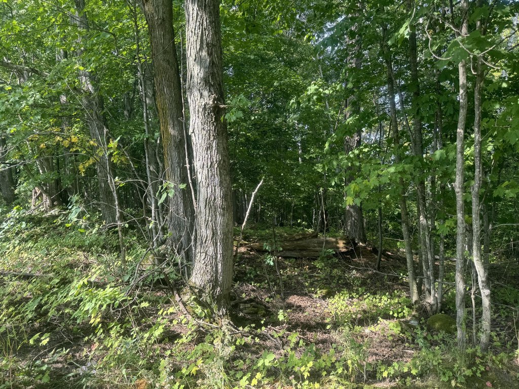 Picture 12