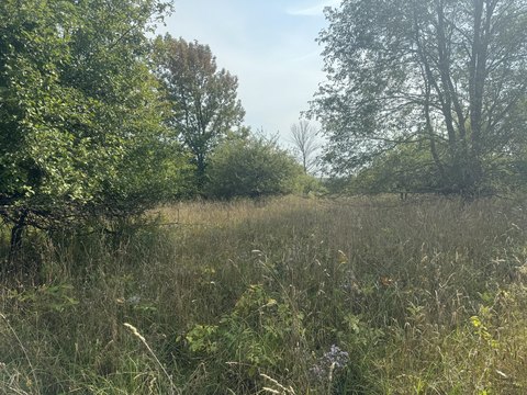 Land with Lake Access