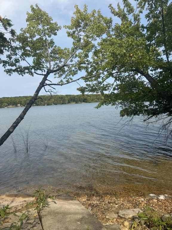 Picture 5