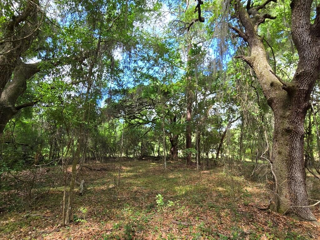 Picture 30