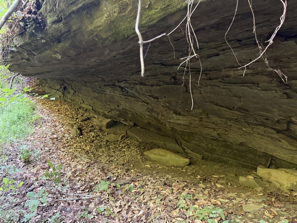 Picture 6