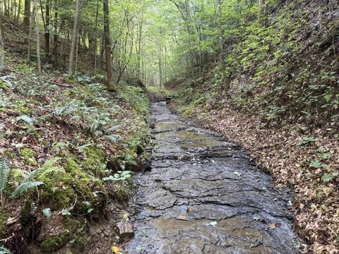 Land, Vancleve, KY