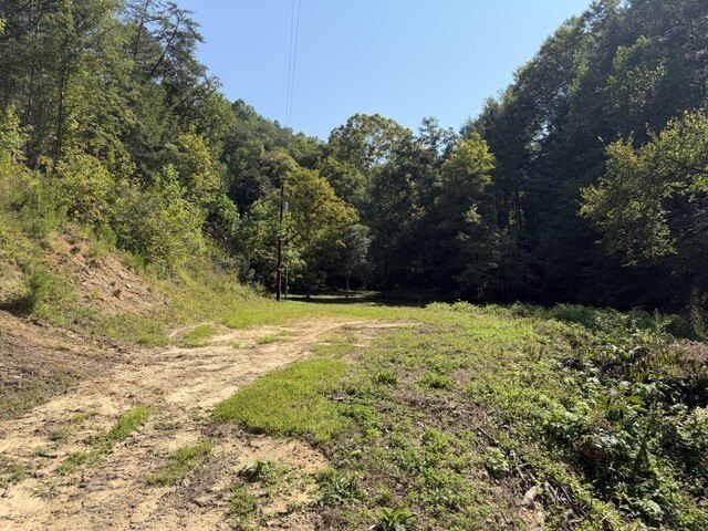 Picture 3