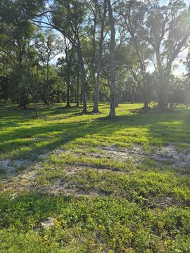 LAND - Old Town, FL