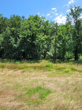 Development Land on Major Loop