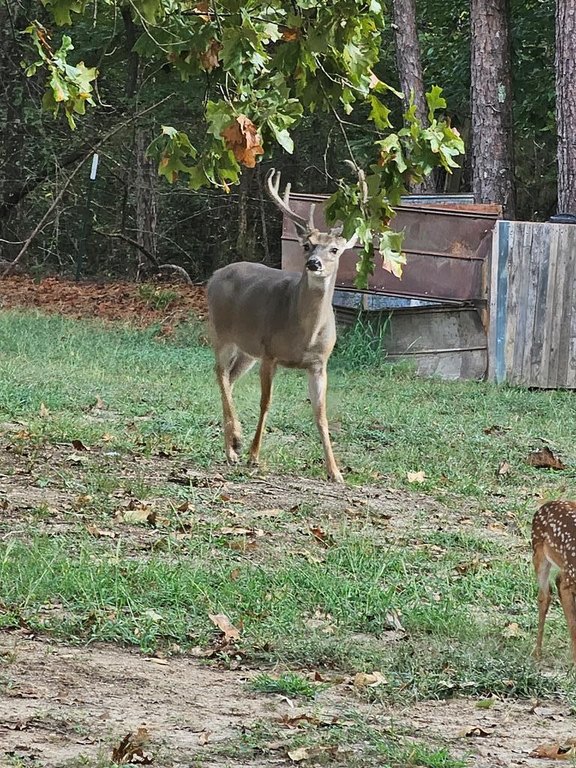 Picture 4