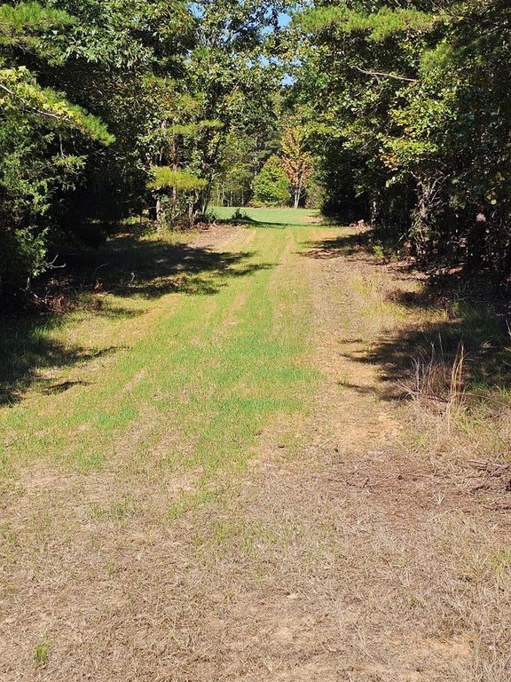 Picture 21