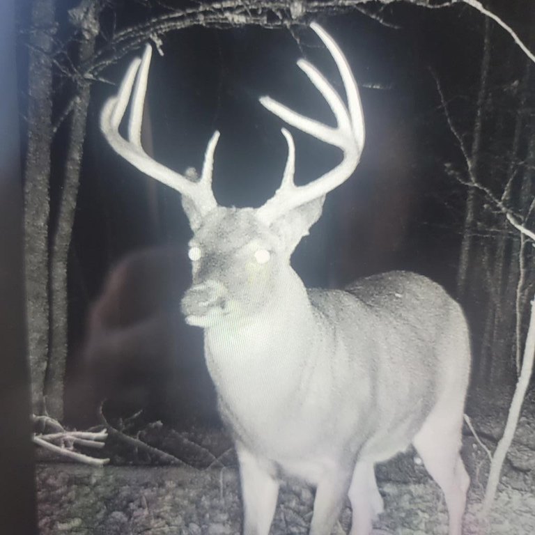 Picture 2