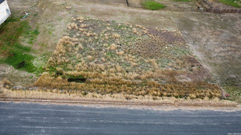 LAND - St Hedwig, TX