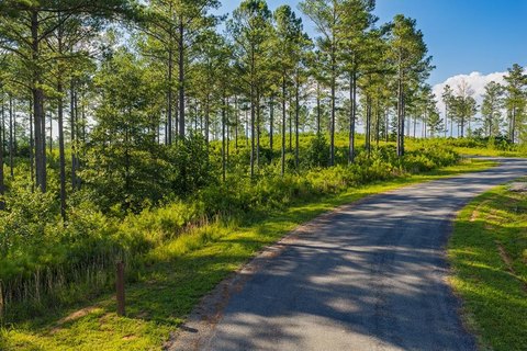 LAND - Ellijay, GA