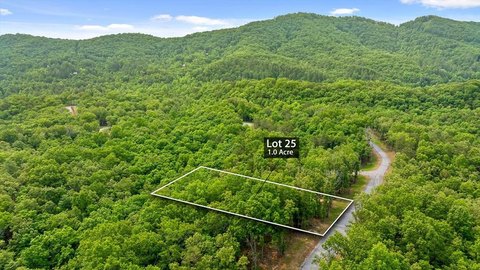 LAND - Mineral Bluff, GA