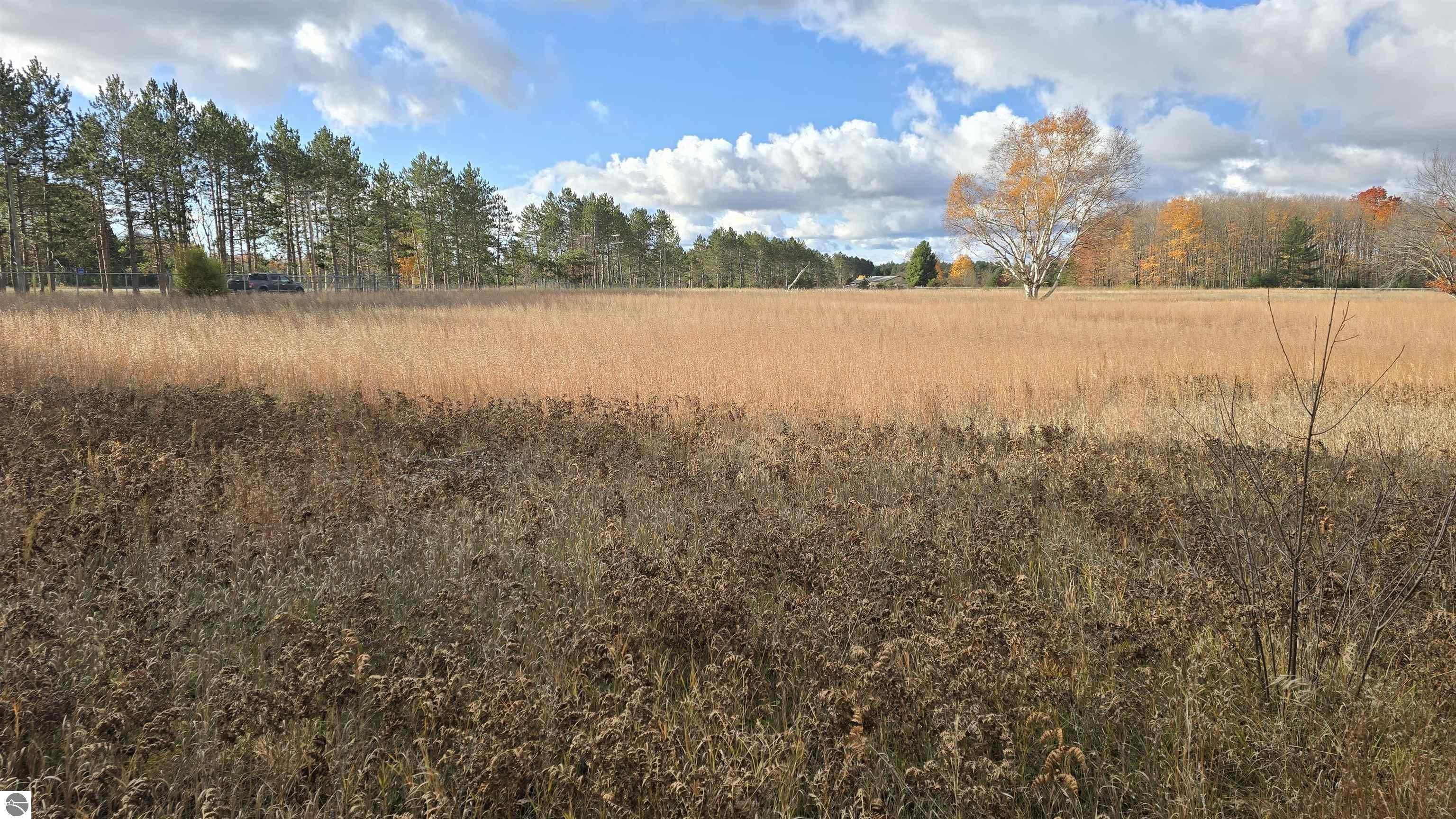 Vacant Land on US-131