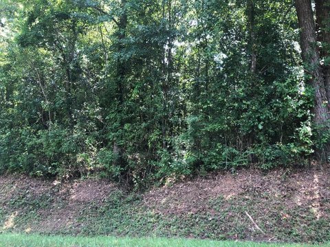 Laurel Lot For Sale