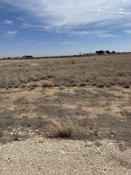 LAND - Levelland, TX