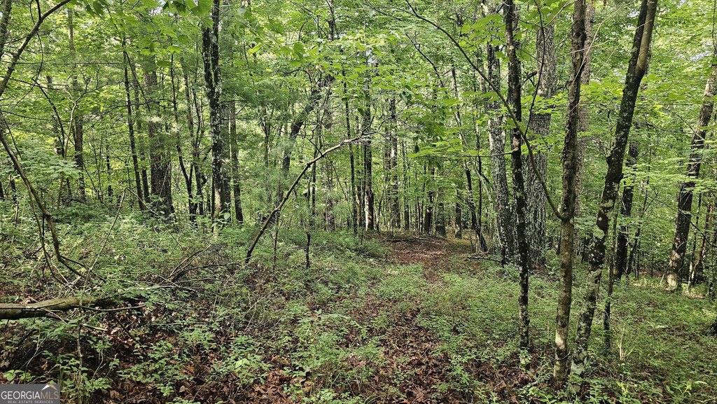 Picture 18