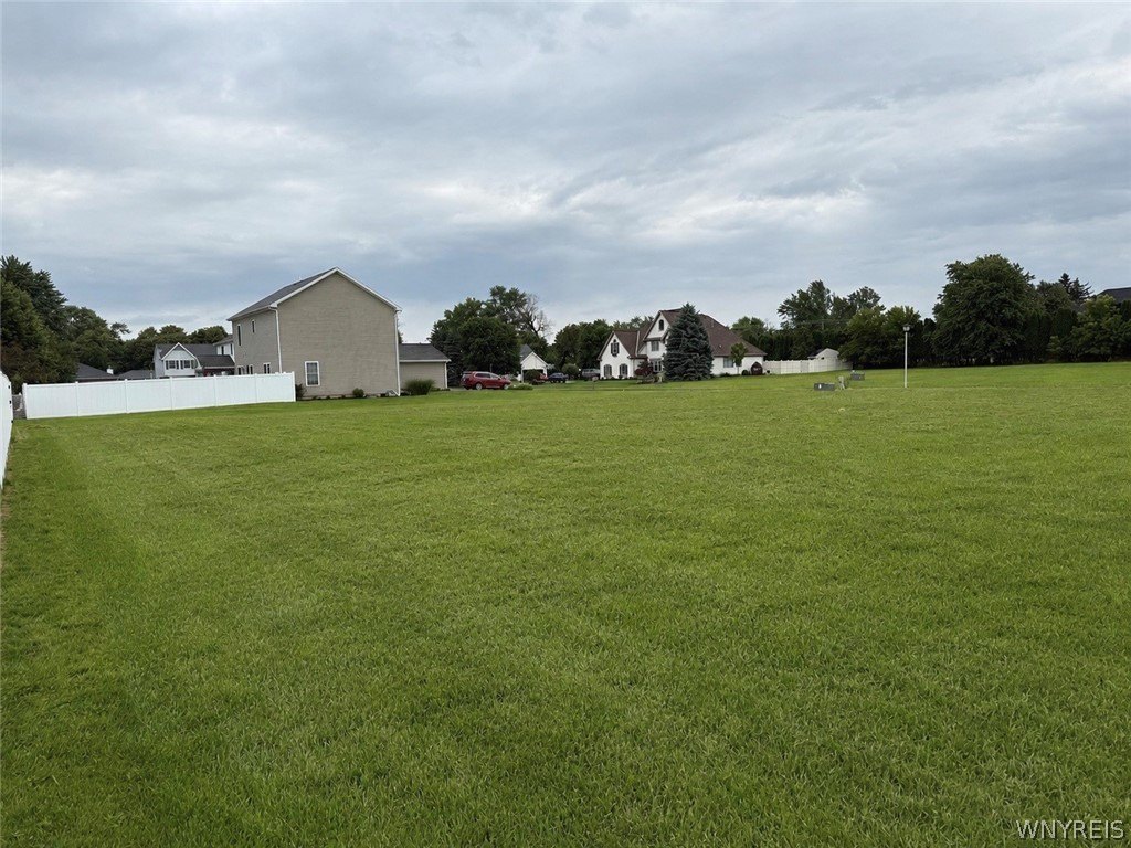 Picture 2