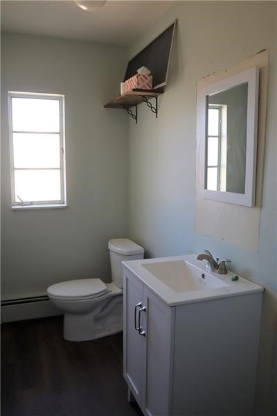 Picture 16