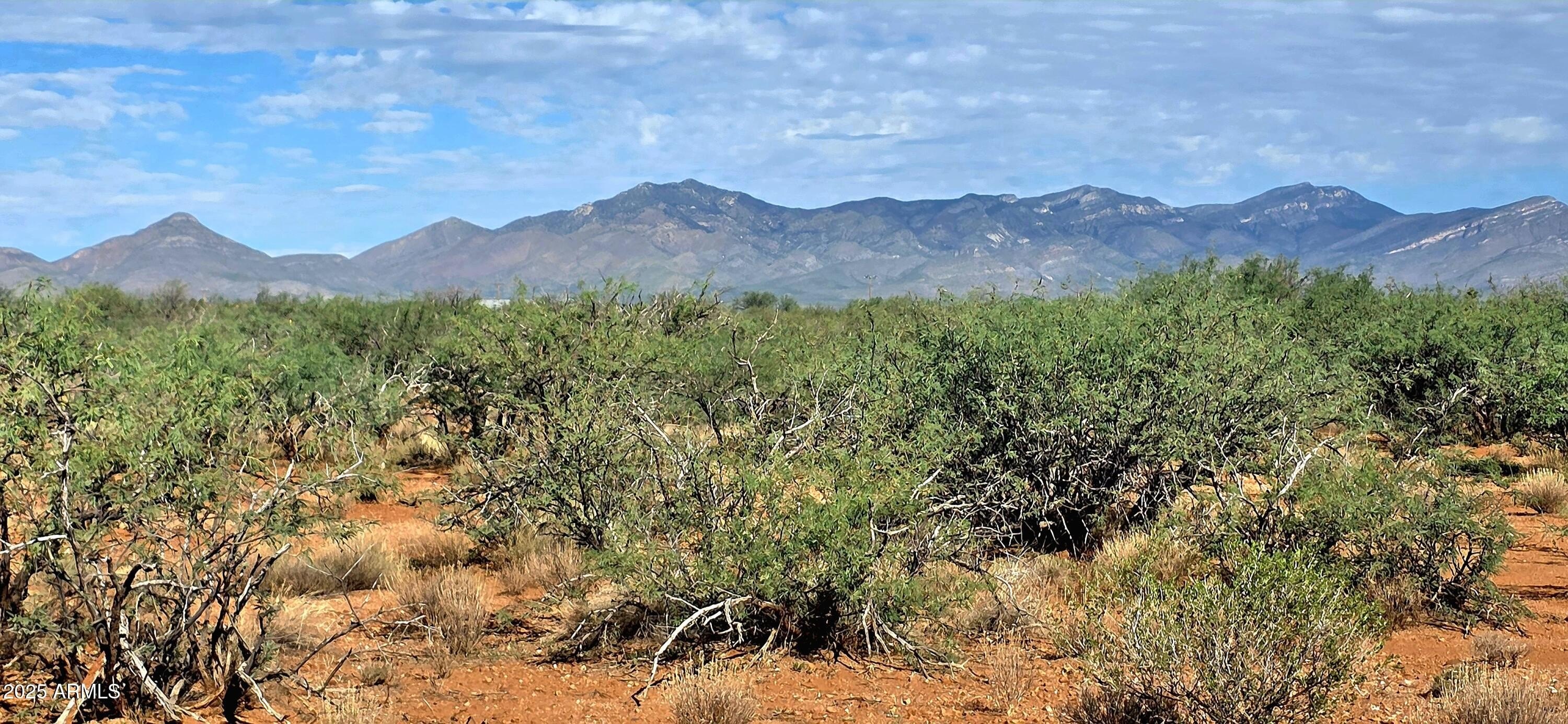 40 Acres with Mountain Views
