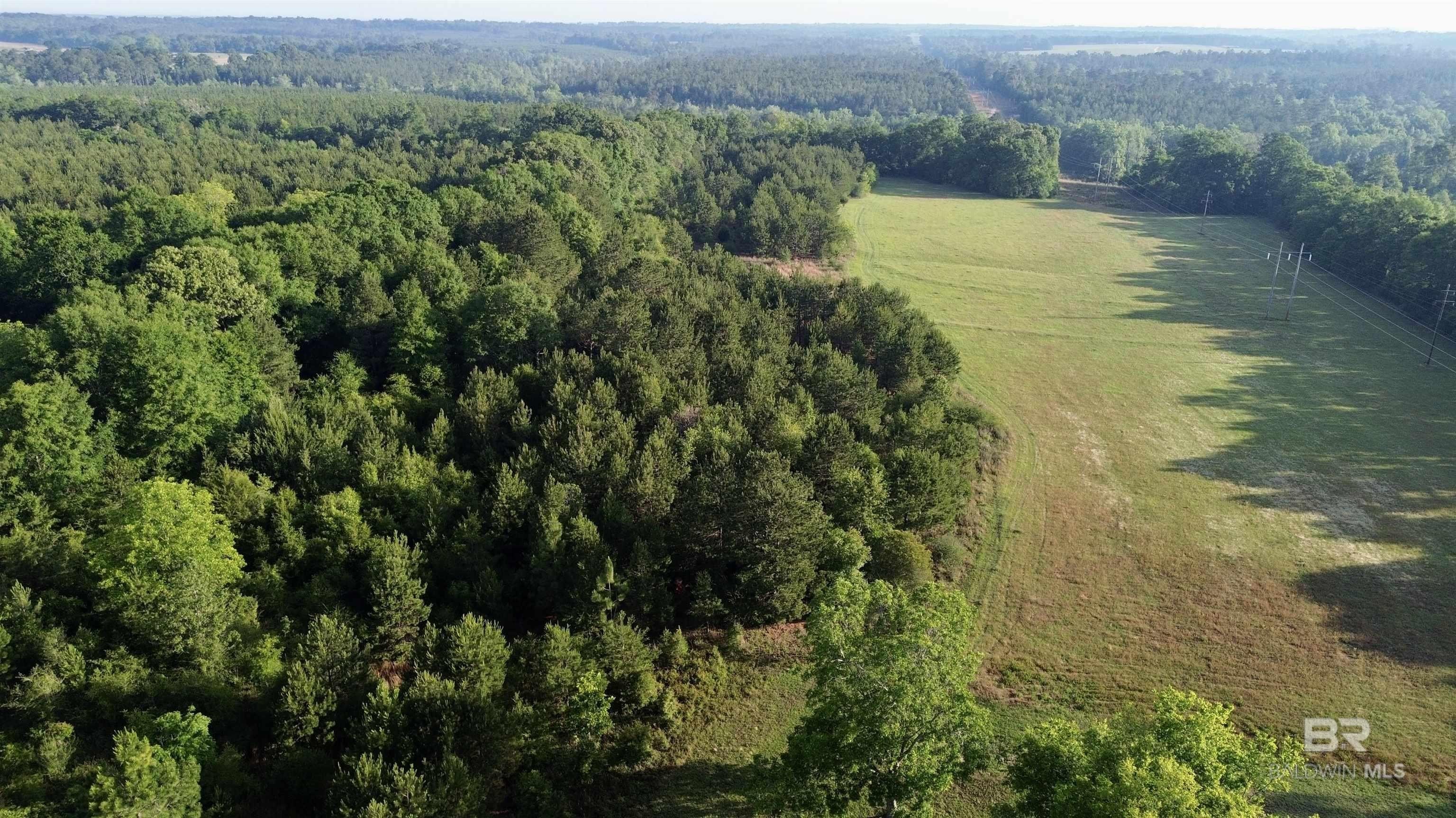 45-Acre Land in Castleberry, AL
