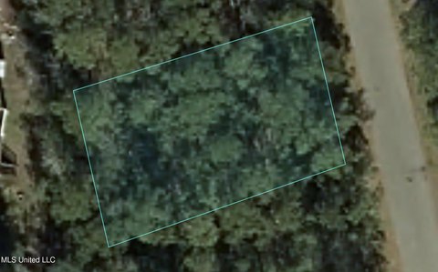 Residential Lot in Jourdan River