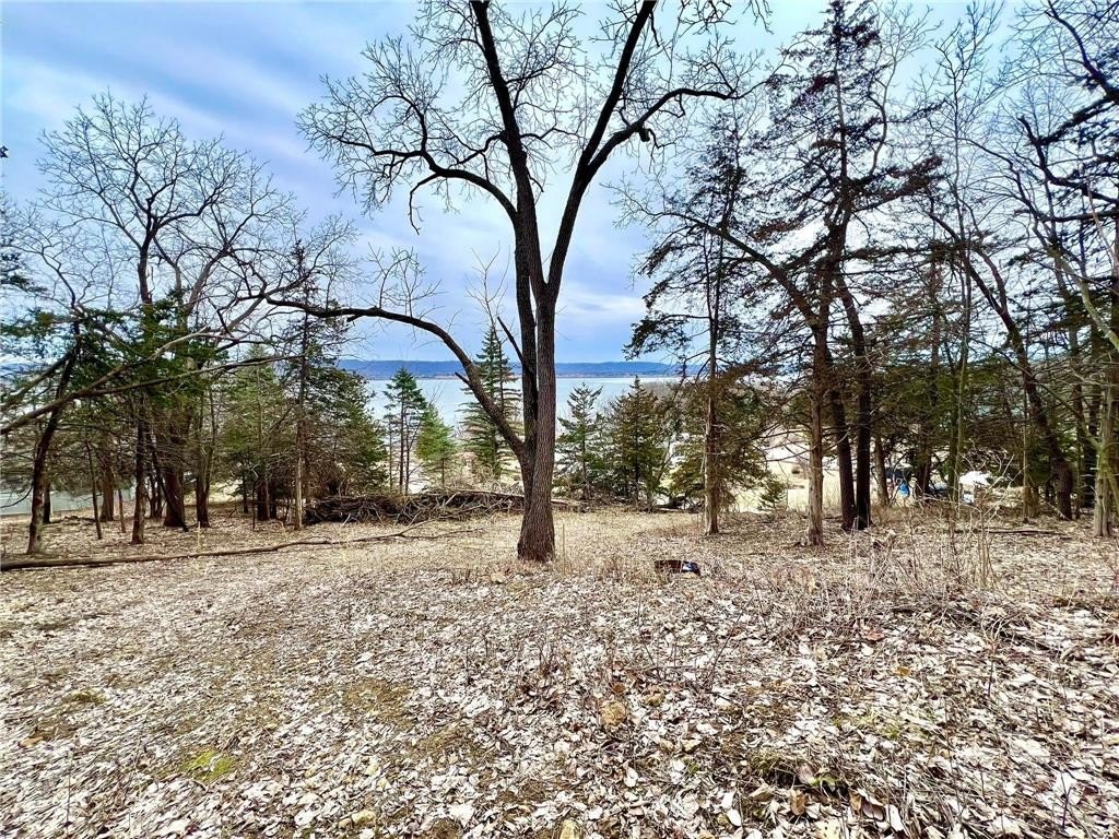 Picture 16