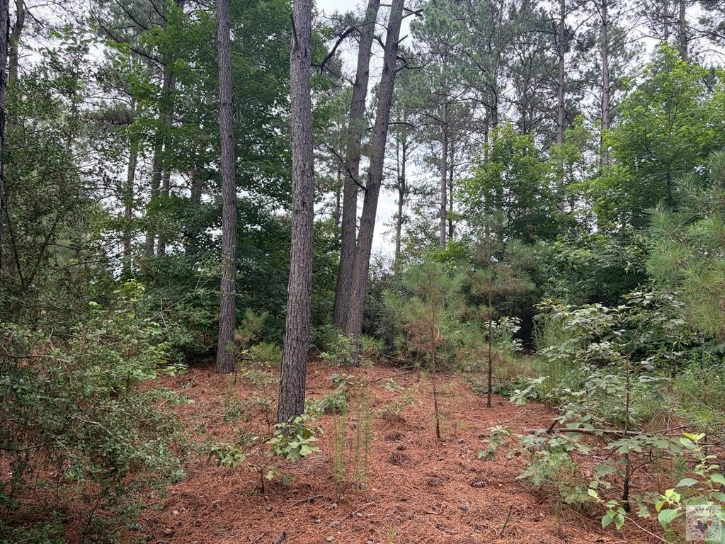 Picture 15