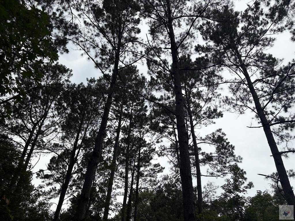 Picture 17