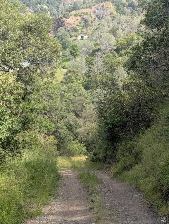 Picture 3