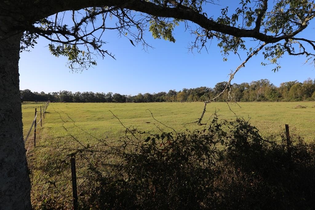 Pastured Property Ready for Livestock