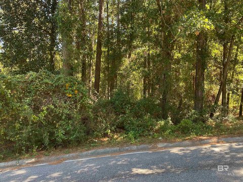 Land in Lake Forest Community
