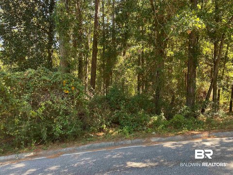 Land in Lake Forest Community
