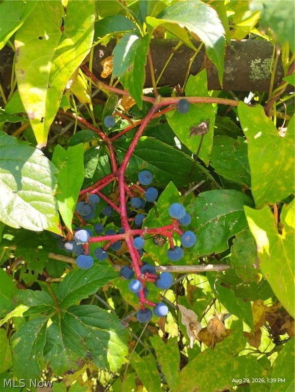 Picture 7