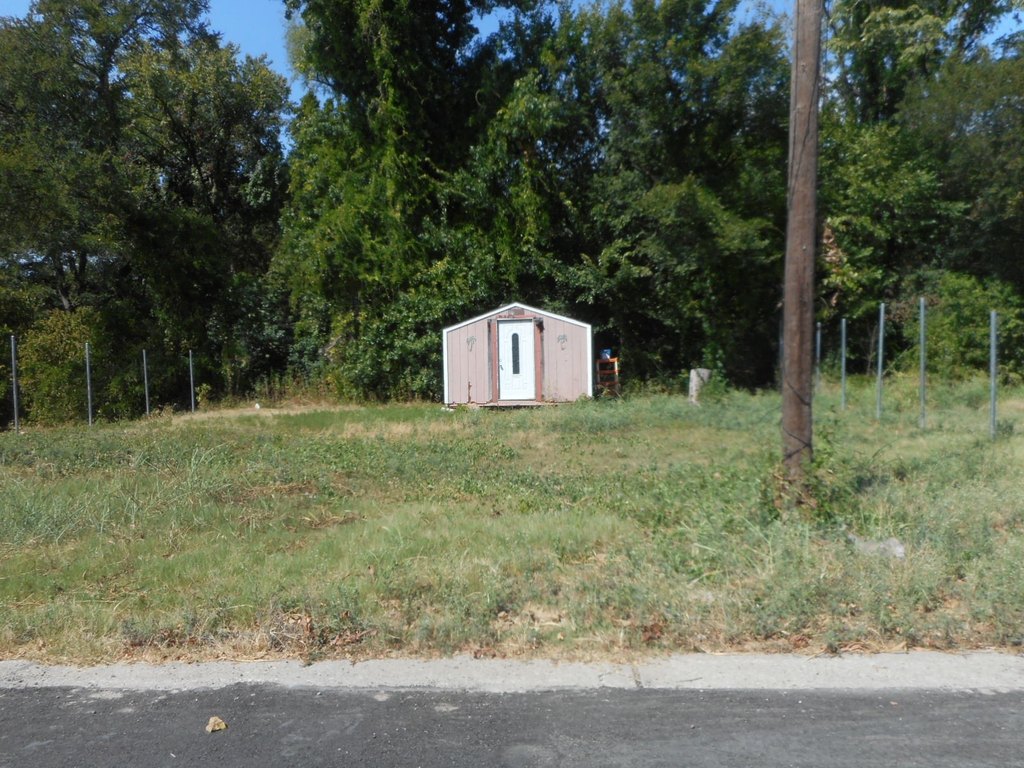 Picture 3