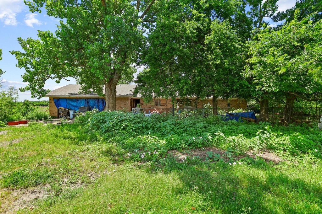 Picture 29